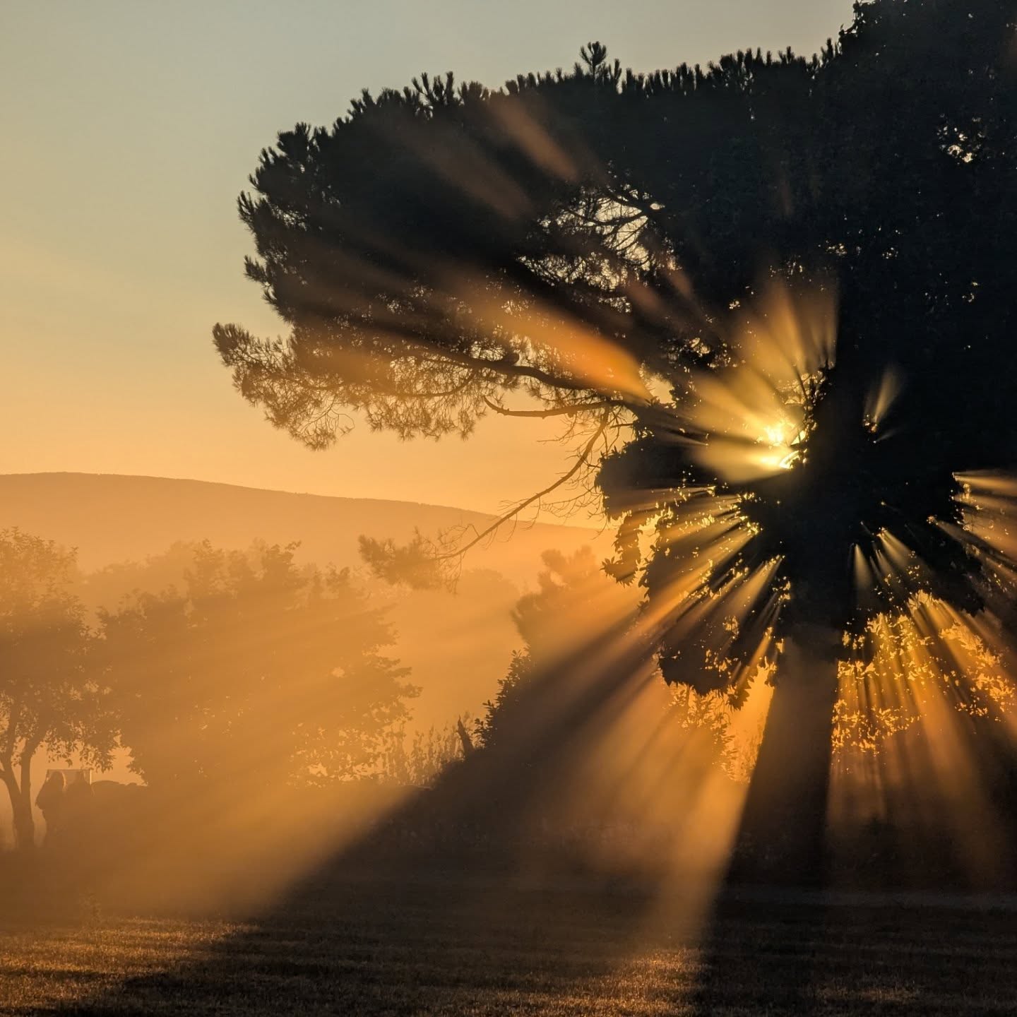 Day 24: Sarria – Portomarín 22 km