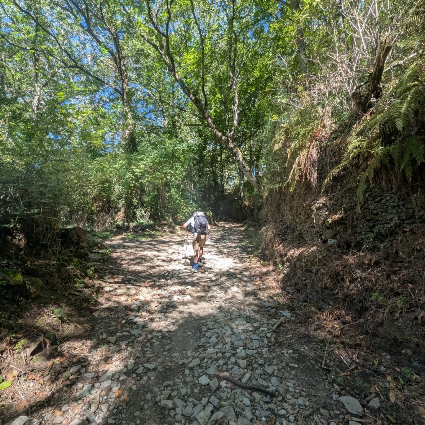 Day 21: Villafranca del Bierzo – O Cebreiro 28 km, 700m ascent.