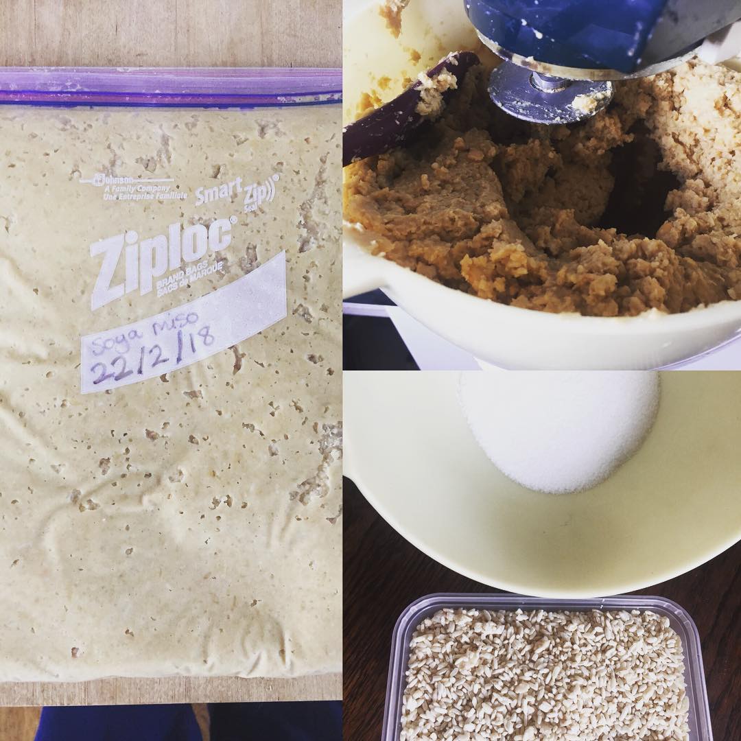 First time doing soy bean .
