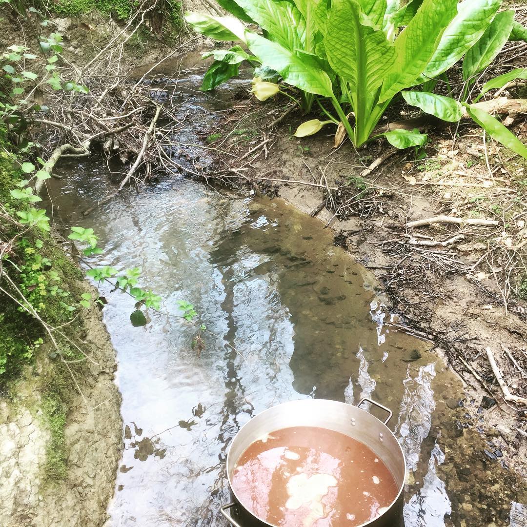 Beer in the Wild!