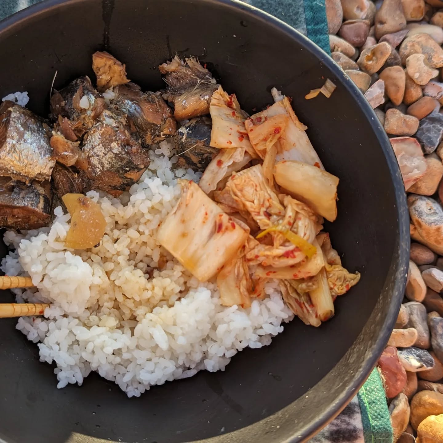 Japanese stewed sardines picnic on Brighton beach yesterday.