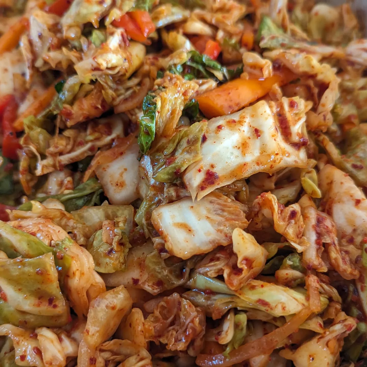 Another round of kimchi this morning.