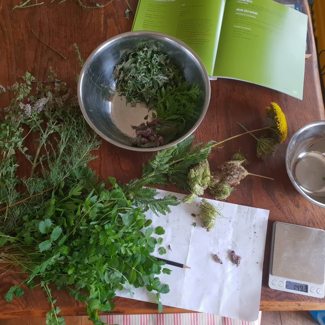 Cats not really helping much with my faux-gruit.
