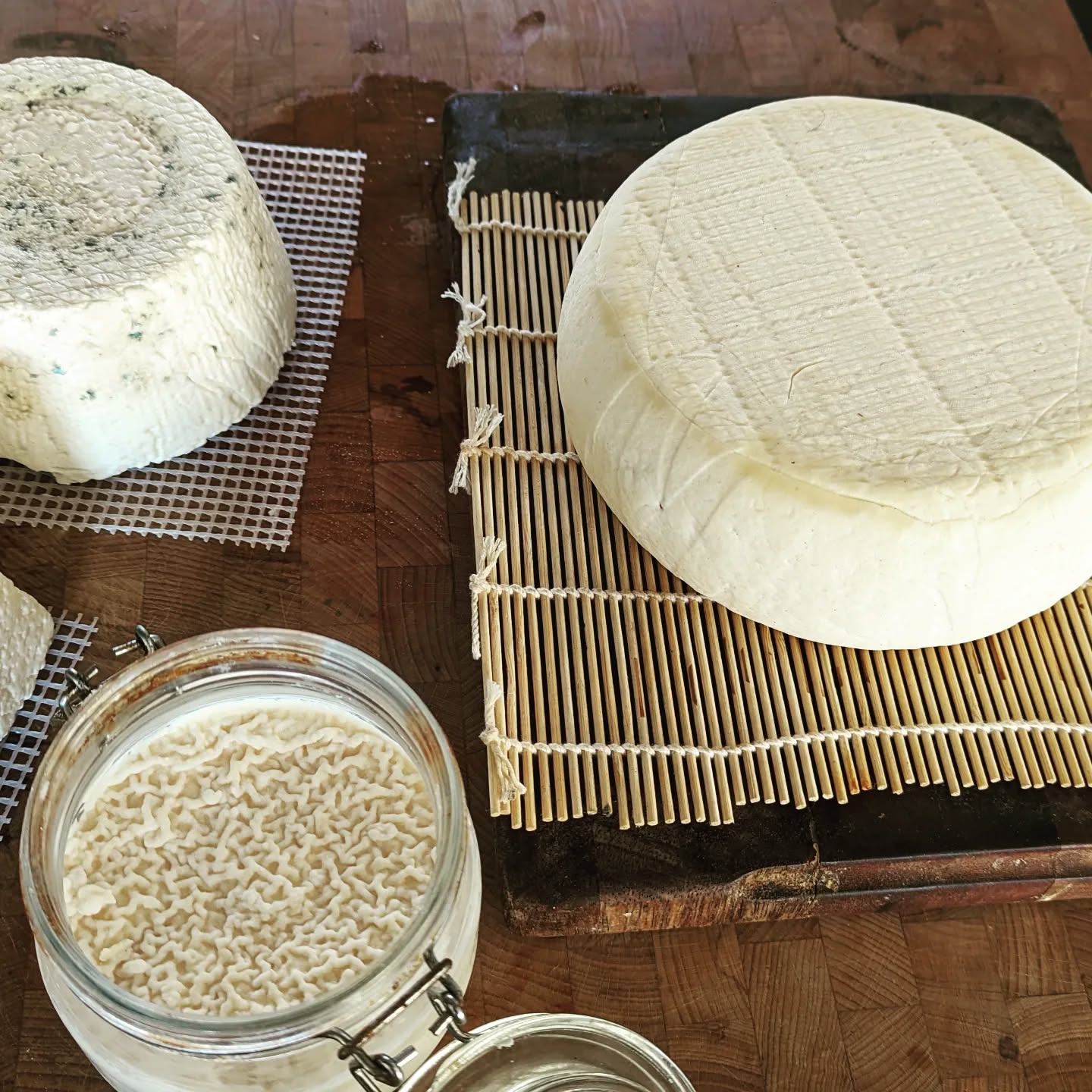 My recent foray into cheesemaking.