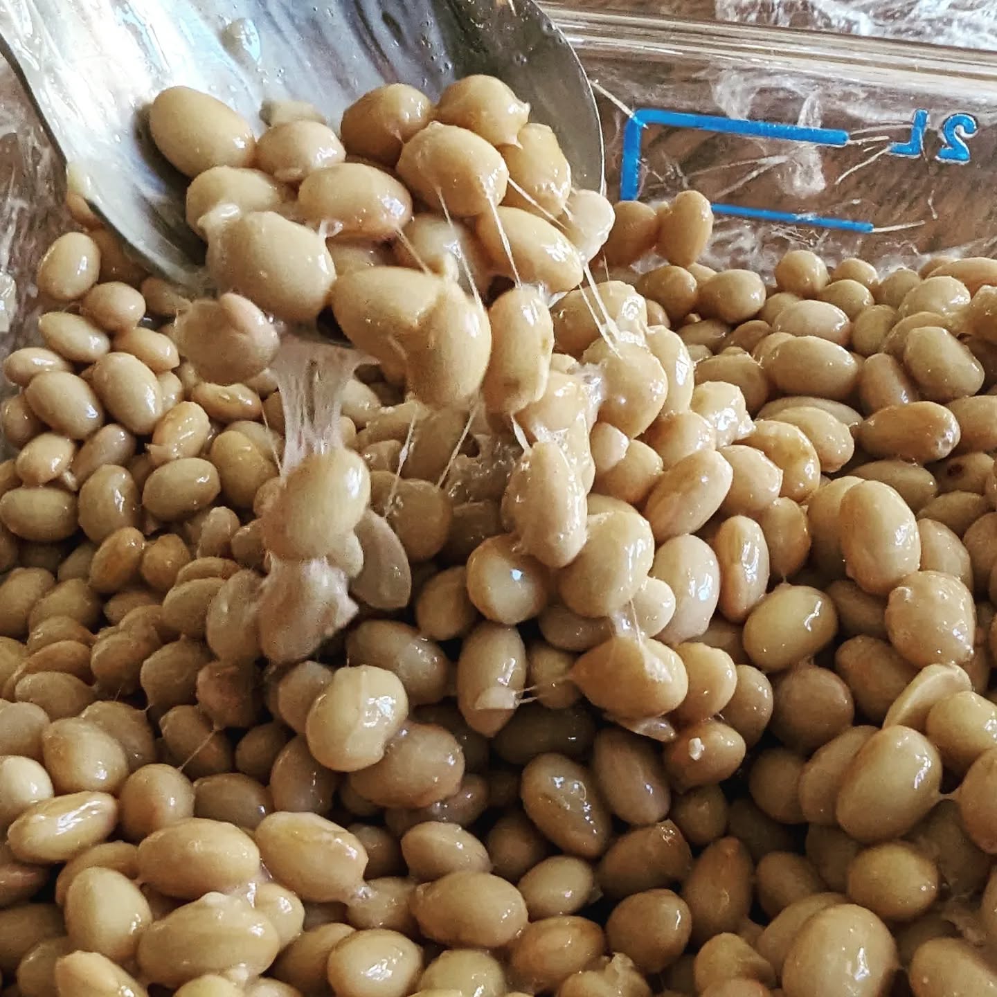 This rather sticky looking stuff is natto.