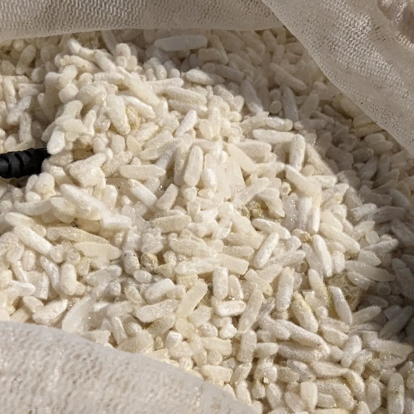 Another amino post, this time koji/soy.