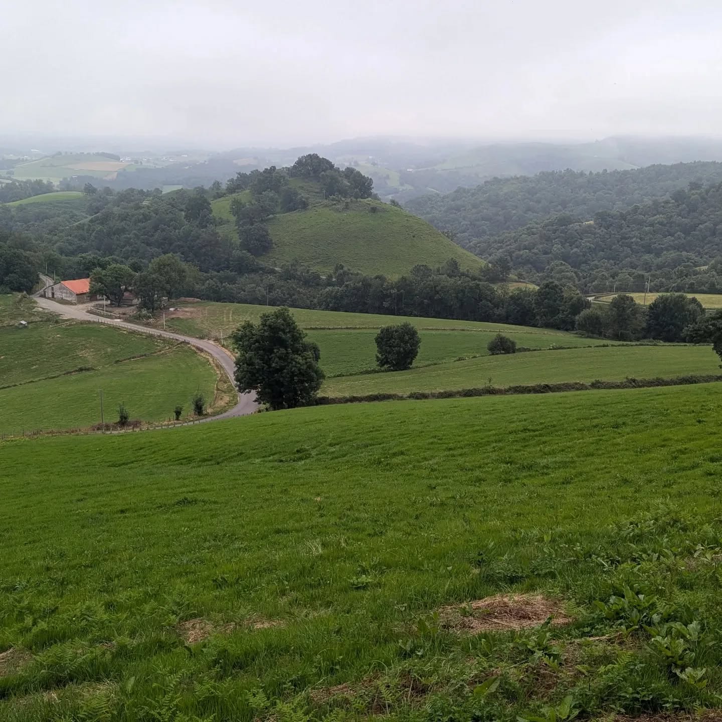 Day 1: Saint-Jean-Pied-de-Port to Roncesvalles 27km, 1300m ascent.