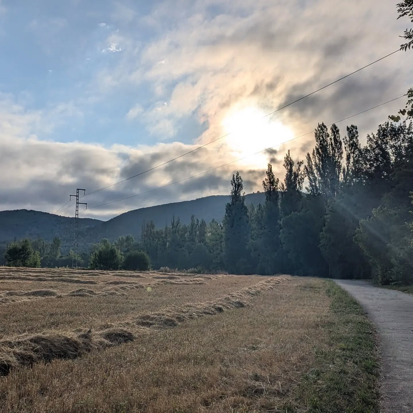 Day 3: Larrasoana - Pamplona 15.4 km