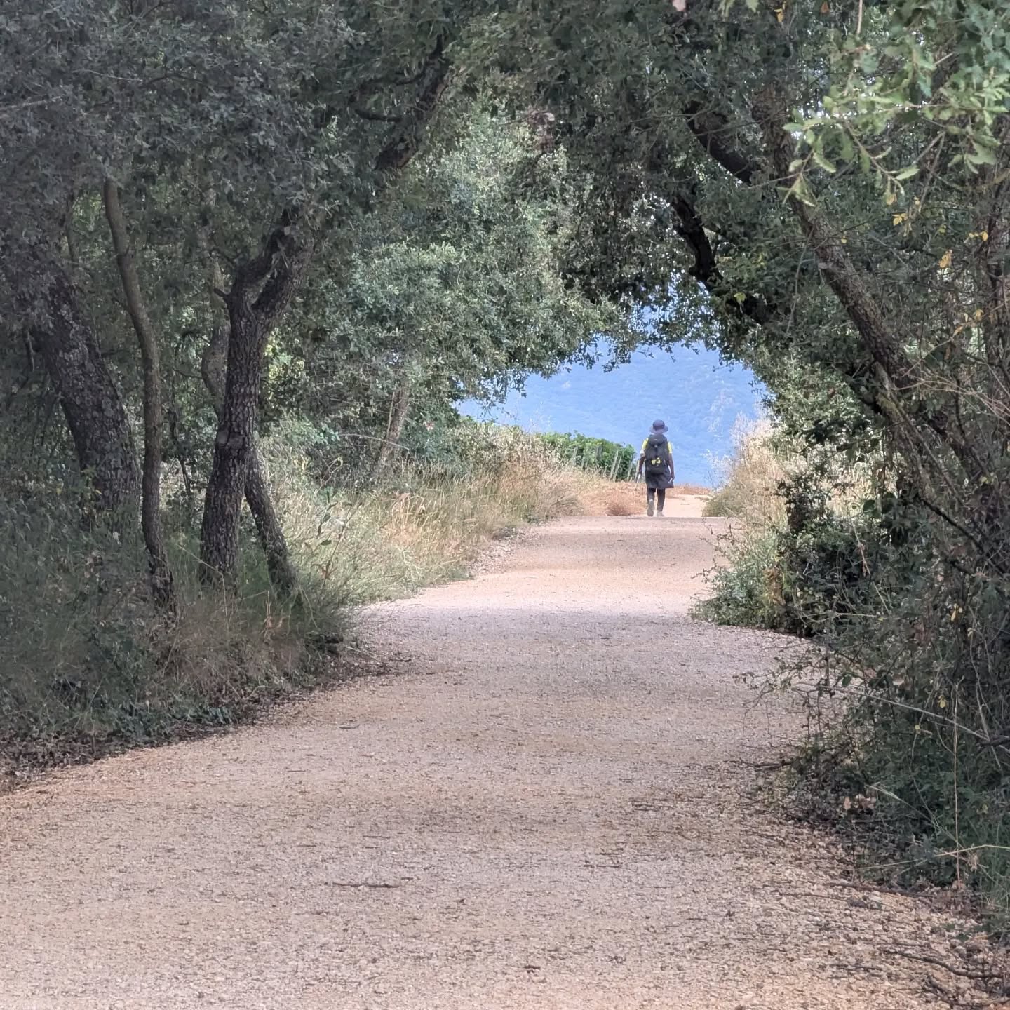 Day 5: Cirauqui to Estella, 14km, 250m ascent.