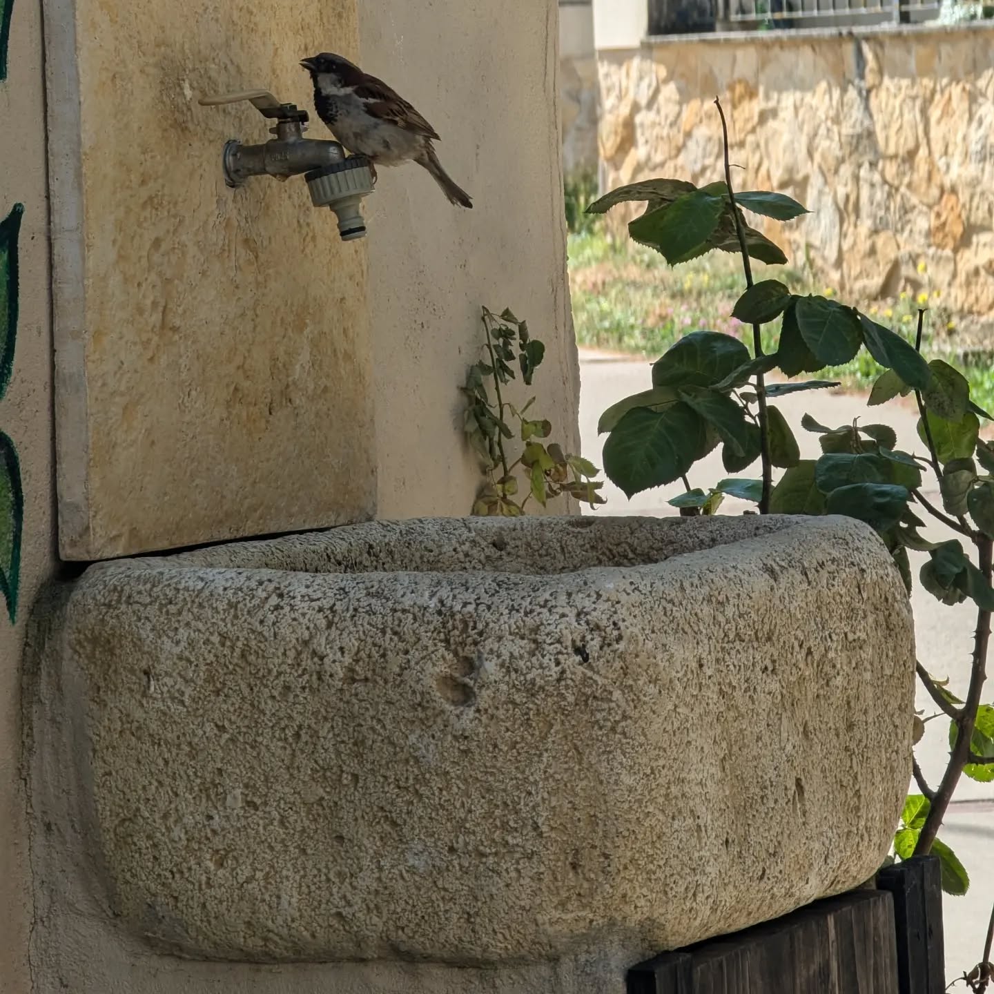 Photo 12