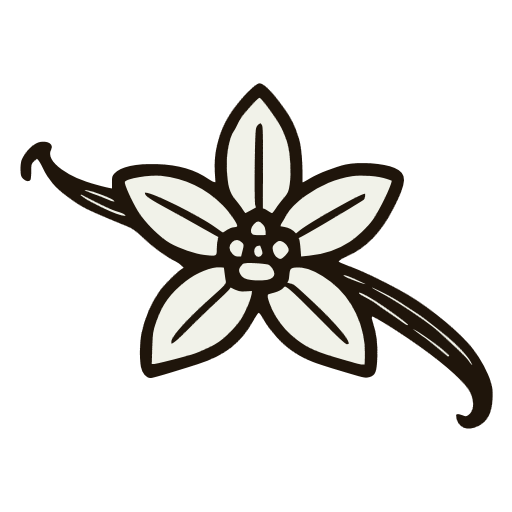 Vanilla - tech stack and functionality