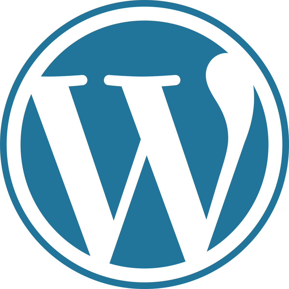 Wordpress Experience